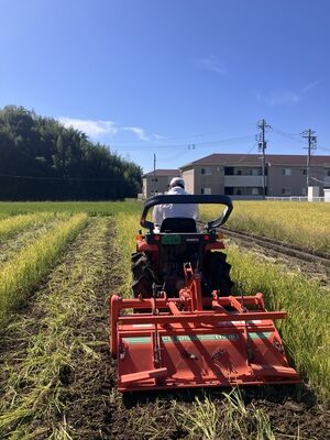 田んぼの秋起こし　～田辺市～