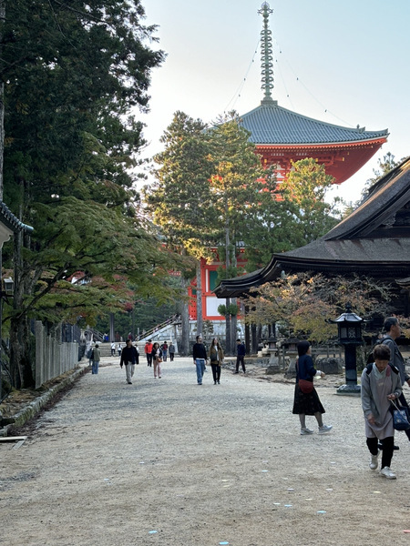 秋を感じに　～高野山～