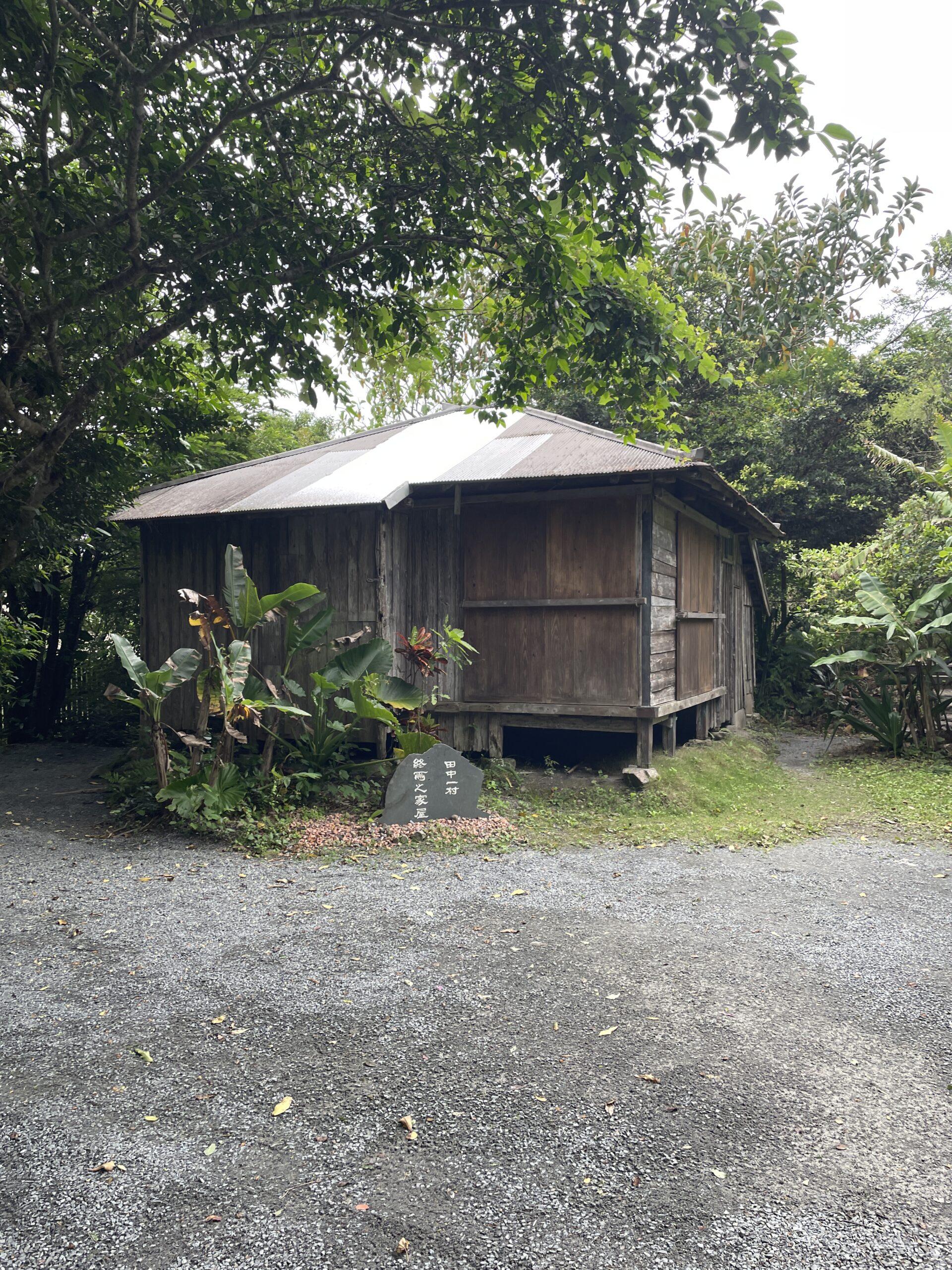 田中一村を訪ねて